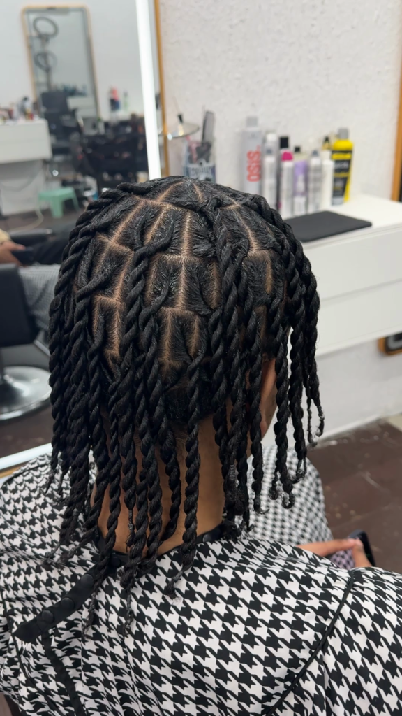 Single braids (WITH EXSTENTION)