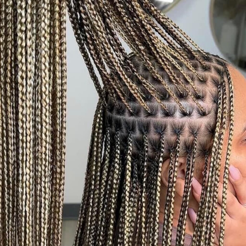 Single braids (WITH EXTENSIONS)