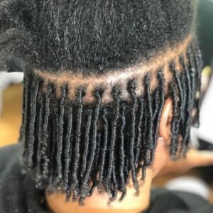 Starter locs